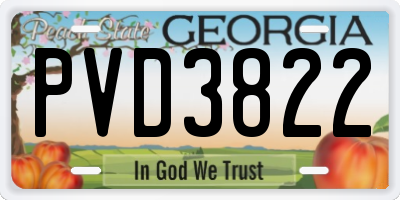 GA license plate PVD3822