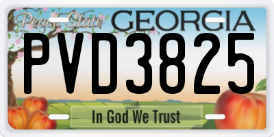 GA license plate PVD3825