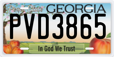 GA license plate PVD3865