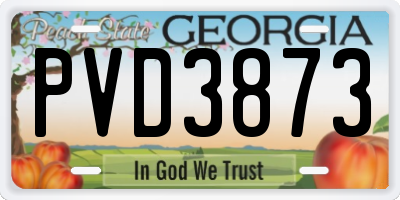 GA license plate PVD3873