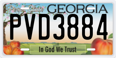 GA license plate PVD3884