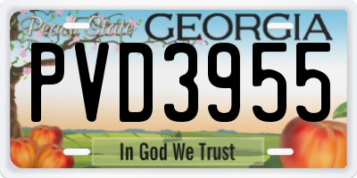 GA license plate PVD3955