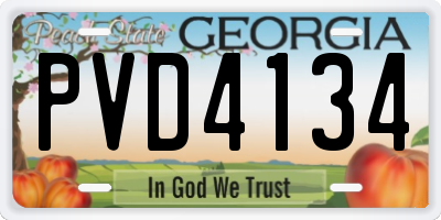GA license plate PVD4134