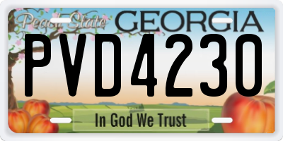 GA license plate PVD4230