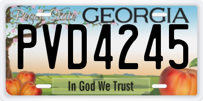 GA license plate PVD4245