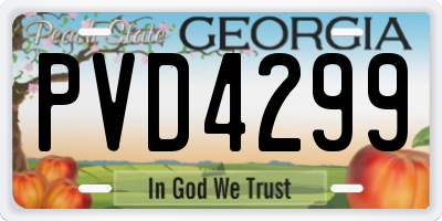GA license plate PVD4299