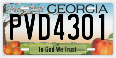 GA license plate PVD4301
