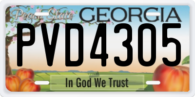 GA license plate PVD4305