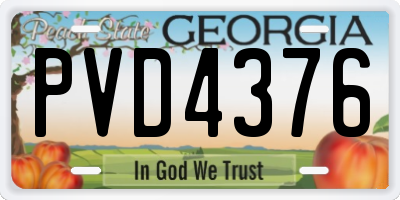 GA license plate PVD4376