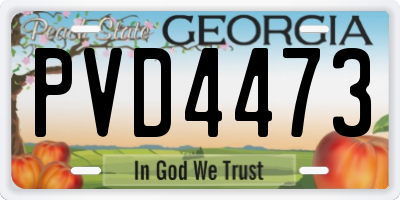 GA license plate PVD4473