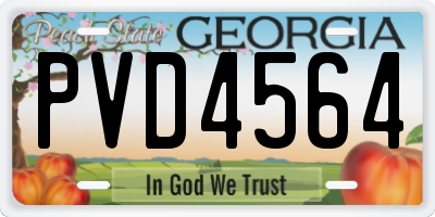 GA license plate PVD4564