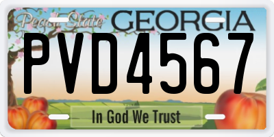 GA license plate PVD4567