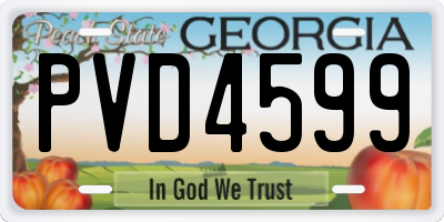 GA license plate PVD4599
