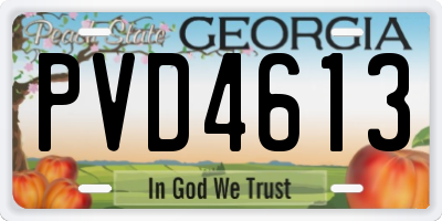 GA license plate PVD4613