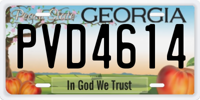 GA license plate PVD4614