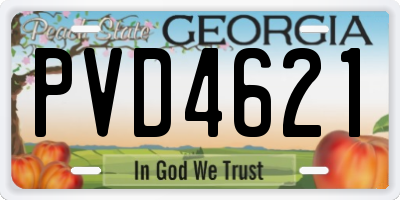 GA license plate PVD4621