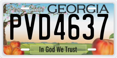 GA license plate PVD4637