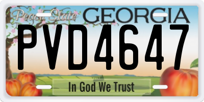 GA license plate PVD4647