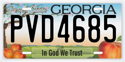 GA license plate PVD4685