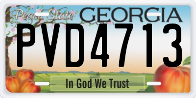 GA license plate PVD4713