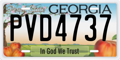 GA license plate PVD4737