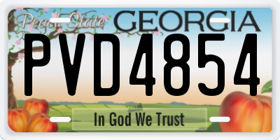 GA license plate PVD4854