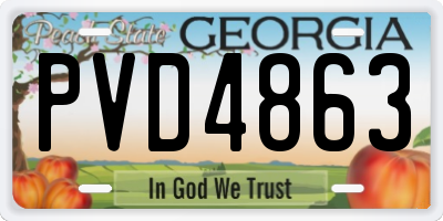 GA license plate PVD4863