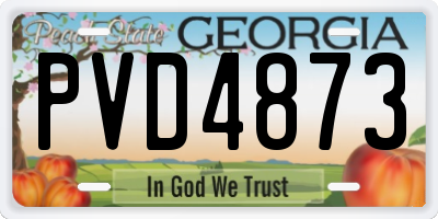 GA license plate PVD4873