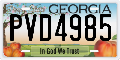 GA license plate PVD4985