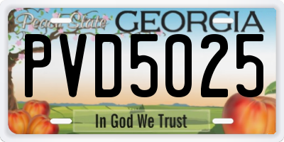 GA license plate PVD5025