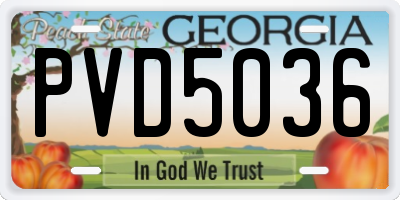 GA license plate PVD5036