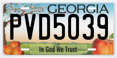 GA license plate PVD5039