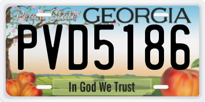 GA license plate PVD5186