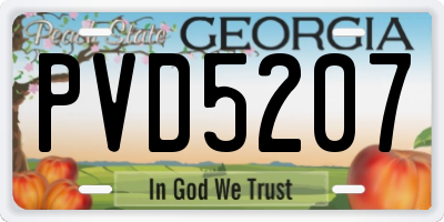 GA license plate PVD5207