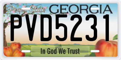 GA license plate PVD5231