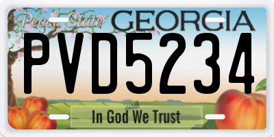 GA license plate PVD5234
