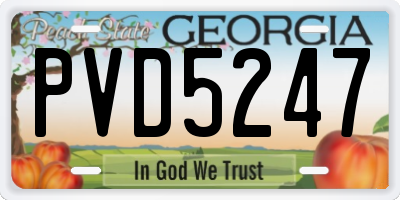 GA license plate PVD5247