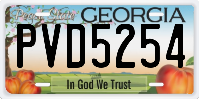 GA license plate PVD5254