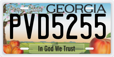 GA license plate PVD5255