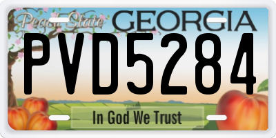 GA license plate PVD5284
