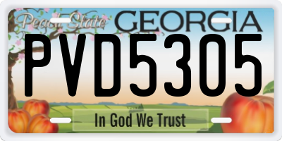 GA license plate PVD5305