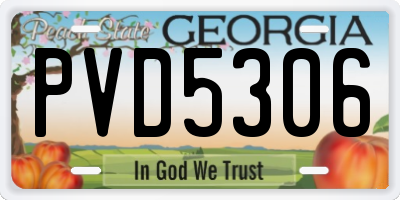 GA license plate PVD5306