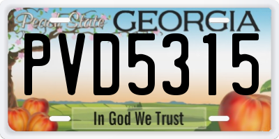 GA license plate PVD5315