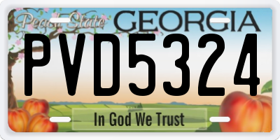 GA license plate PVD5324