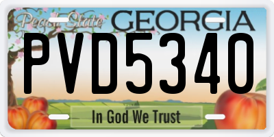 GA license plate PVD5340