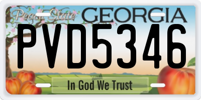 GA license plate PVD5346