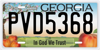 GA license plate PVD5368