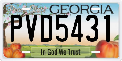 GA license plate PVD5431