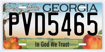 GA license plate PVD5465