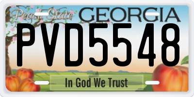 GA license plate PVD5548